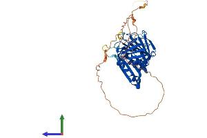 AlphaFold protein structure predicition of Human Recombinant RAD9A Protein, UniprotID Q99638