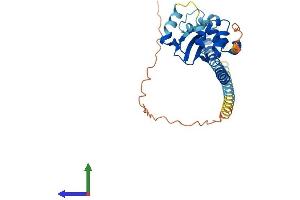 AlphaFold protein structure predicition of Human Recombinant TSPY8 Protein, UniprotID P0CW00