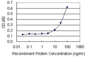 Detection limit for recombinant GST tagged AKR1CL1 is 3 ng/ml as a capture antibody. (AKR1CL1 anticorps  (AA 1-129))