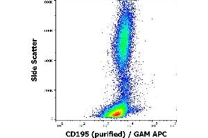 Flow cytometry surface staining pattern of human peripheral blood stained using anti-human CD195 (T21/8) purified antibody (concentration in sample 3 μg/mL) GAM APC. (CCR5 anticorps  (AA 1-22))