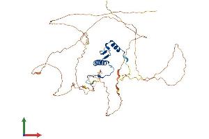 AlphaFold protein structure predicition of Mouse Recombinant Srf Protein, UniprotID Q9JM73
