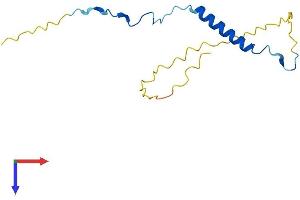 AlphaFold protein structure predicition of Mouse Recombinant Anapc15 Protein, UniprotID P60007