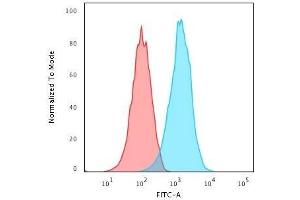 Flow Cytometric Analysis of Raji cells. (Recombinant CD20 anticorps)