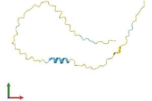 AlphaFold protein structure predicition of Human Recombinant XAGE2 Protein, UniprotID Q96GT9