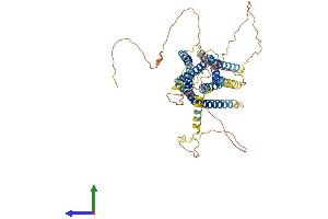 AlphaFold protein structure predicition of Human Recombinant GPR75 Protein, UniprotID O95800