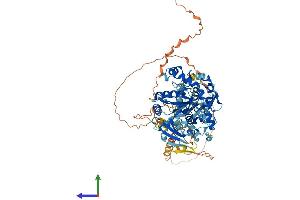 AlphaFold protein structure predicition of Human Recombinant ZMYND15 Protein, UniprotID Q9H091