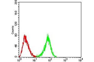 Flow cytometric analysis of HL-60 cells using CD367 mouse mAb (green) and negative control (red).