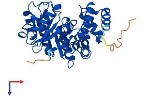 AlphaFold protein structure predicition of Human Recombinant NPL Protein, UniprotID Q9BXD5