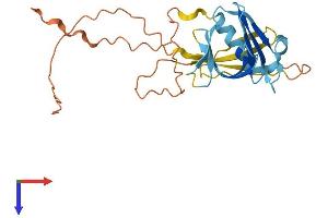 AlphaFold protein structure predicition of Human Recombinant PLEKHB1 Protein, UniprotID Q9UF11