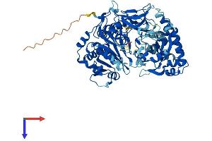 AlphaFold protein structure predicition of Mouse Recombinant Acsbg2 Protein, UniprotID Q2XU92