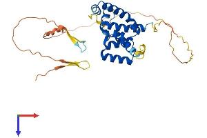 AlphaFold protein structure predicition of Mouse Recombinant Pou6f1 Protein, UniprotID Q07916