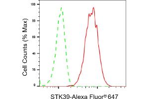 Flow cytometric analysis of STK39 expression in HepG2 cells using STK39 antibody (ABIN7800304), 1:2,000). (Recombinant STK39 anticorps)