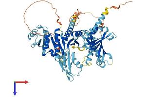 AlphaFold protein structure predicition of Human Recombinant IGF2BP3 Protein, UniprotID O00425