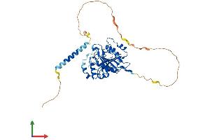 AlphaFold protein structure predicition of Mouse Recombinant B4galt1 Protein, UniprotID P15535