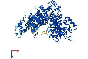 AlphaFold protein structure predicition of Mouse Recombinant Rrm1 Protein, UniprotID P07742