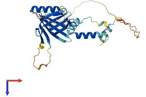 AlphaFold protein structure predicition of Human Recombinant REC114 Protein, UniprotID Q7Z4M0