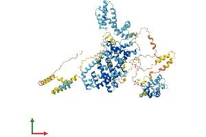 AlphaFold protein structure predicition of Mouse Recombinant Snx14 Protein, UniprotID Q8BHY8