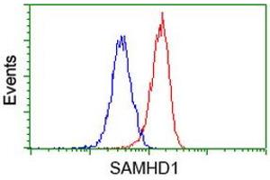 Flow cytometric Analysis of Hela cells, using anti-SAMHD1 antibody (ABIN2453937), (Red), compared to a nonspecific negative control antibody, (Blue). (SAMHD1 anticorps)