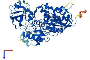 AlphaFold protein structure predicition of Mouse Recombinant Nsun6 Protein, UniprotID Q7TS68