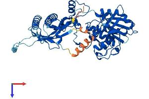 AlphaFold protein structure predicition of Human Recombinant UFSP2 Protein, UniprotID Q9NUQ7