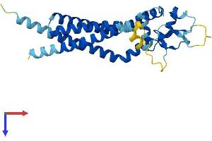 CD82 (CD82) (AA 1-267) protein (His tag)