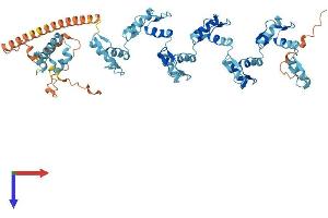 AlphaFold protein structure predicition of Human Recombinant ZNF98 Protein, UniprotID A6NK75