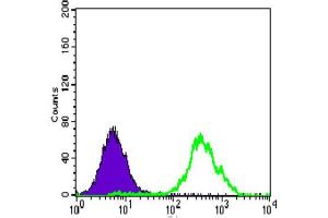 Flow Cytometry (FACS) image for anti-ATP Citrate Lyase (ACLY) (AA 306-502) antibody (ABIN1842880)