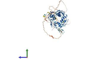 AlphaFold protein structure predicition of Human Recombinant ZNF548 Protein, UniprotID Q8NEK5