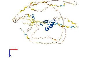 AlphaFold protein structure predicition of Mouse Recombinant Hoxa3 Protein, UniprotID P02831