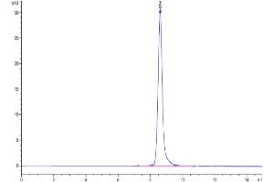 The purity of Cynomolgus CA9 is greater than 95 % as determined by SEC-HPLC.