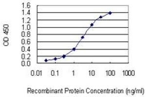 Detection limit for recombinant GST tagged MMP28 is 0.