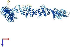 AlphaFold protein structure predicition of Human Recombinant VPS39 Protein, UniprotID Q96JC1