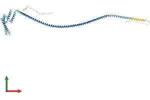 AlphaFold protein structure predicition of Human Recombinant IQCD Protein, UniprotID Q96DY2