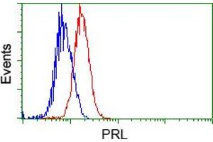 Flow cytometric analysis of Jurkat cells, using anti-PRL antibody (ABIN2453519), (Red) compared to a nonspecific negative control antibody (TA50011) (Blue). (Prolactin anticorps)