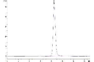 The purity of Biotinylated Human 2B4/SLAMF4 is greater than 95 % as determined by SEC-HPLC.