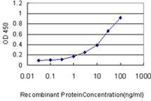 Detection limit for recombinant GST tagged DC-UbP is approximately 0. (UBTD2 anticorps  (AA 1-190))
