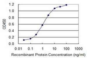 Detection limit for recombinant GST tagged SEPT9 is 0.