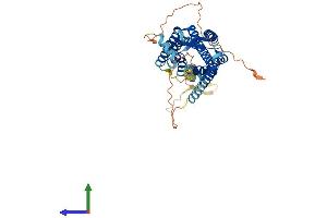 AlphaFold protein structure predicition of Human Recombinant CCKAR Protein, UniprotID P32238