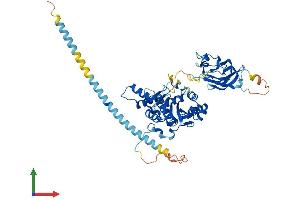 AlphaFold protein structure predicition of Human Recombinant MGAT4B Protein, UniprotID Q9UQ53