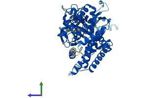 AlphaFold protein structure predicition of Mouse Recombinant Cyp2a12 Protein, UniprotID P56593