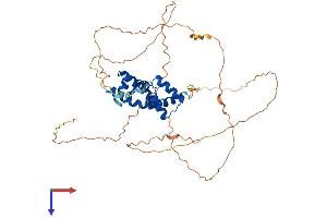 AlphaFold protein structure predicition of Human Recombinant POU2F3 Protein, UniprotID Q9UKI9