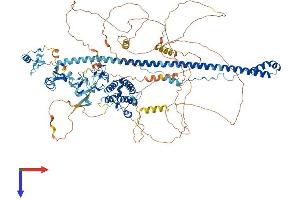 AlphaFold protein structure predicition of Human Recombinant TRIM24 Protein, UniprotID O15164