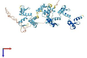 AlphaFold protein structure predicition of Human Recombinant ZFP30 Protein, UniprotID Q9Y2G7