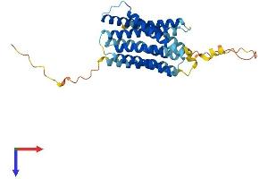 AlphaFold protein structure predicition of Mouse Recombinant Slc39a1 Protein, UniprotID Q9QZ03