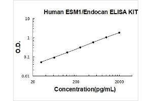 Human ESM1/Endocan PicoKine ELISA Kit standard curve