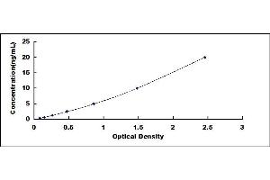Typical standard curve (Exportin 2 Kit ELISA)