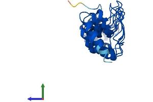 AlphaFold protein structure predicition of Mouse Recombinant Psmd10 Protein, UniprotID Q9Z2X2