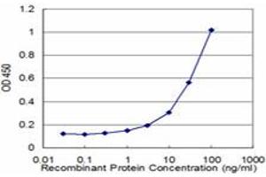 Detection limit for recombinant GST tagged KLK10 is approximately 1ng/ml as a capture antibody. (Kallikrein 10 anticorps  (AA 167-276))