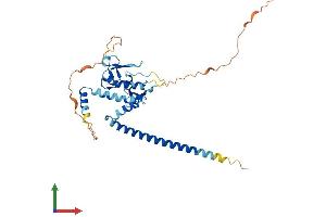 AlphaFold protein structure predicition of Human Recombinant PHF11 Protein, UniprotID Q9UIL8