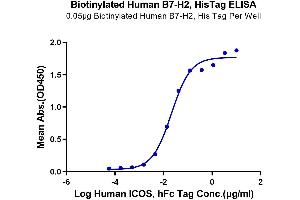 Immobilized Biotinylated Human B7-H2, His Tag at 0.